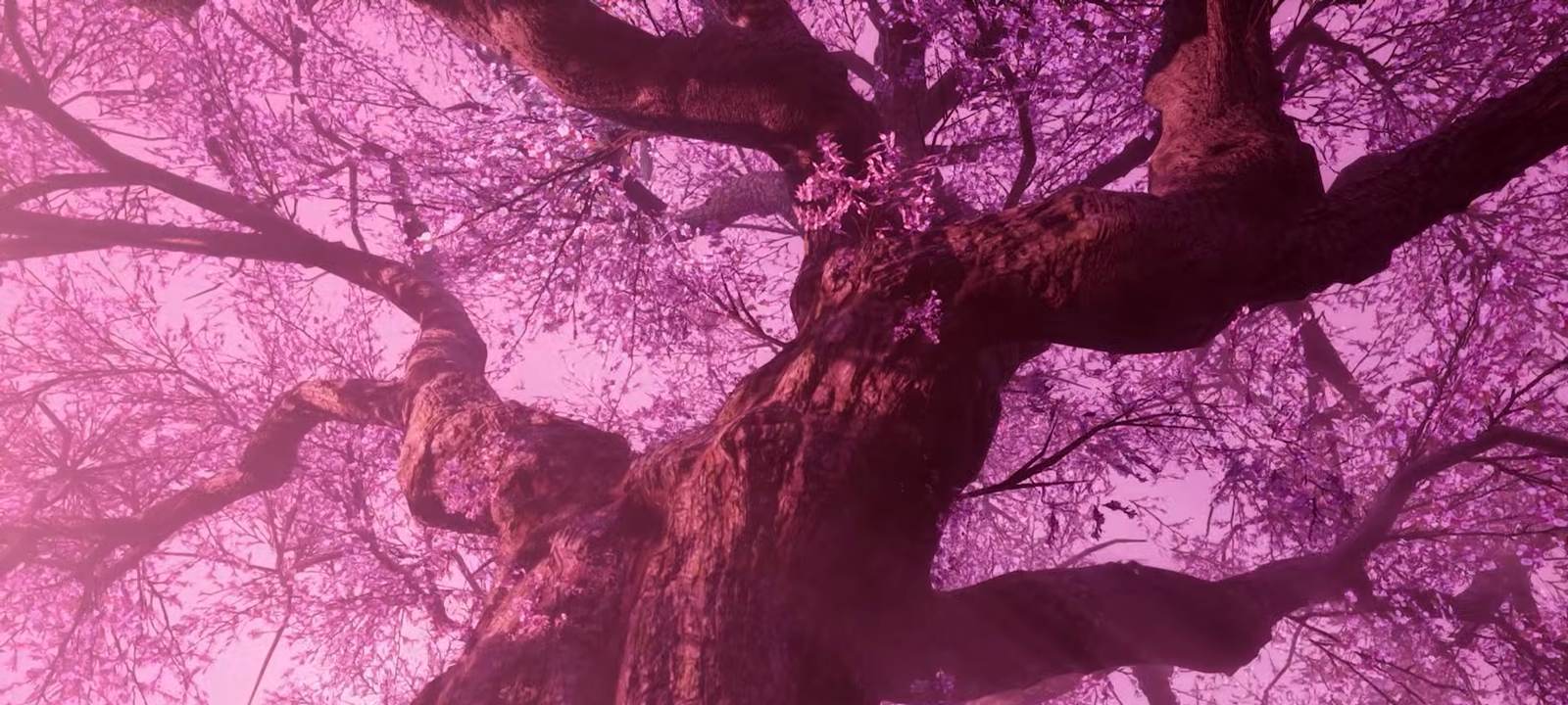 A giant cherry-blossom tree landmark in Echoes of Aincrad